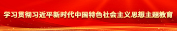 狂艹美女网站学习贯彻习近平新时代中国特色社会主义思想主题教育